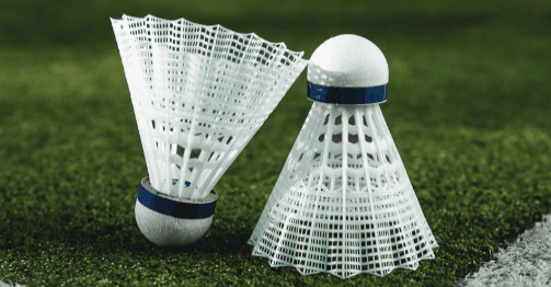 Badminton Court at VLC Anantam Panchkula
