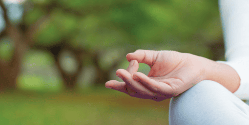 Yoga Lawn at VLC Anantam Panchkula